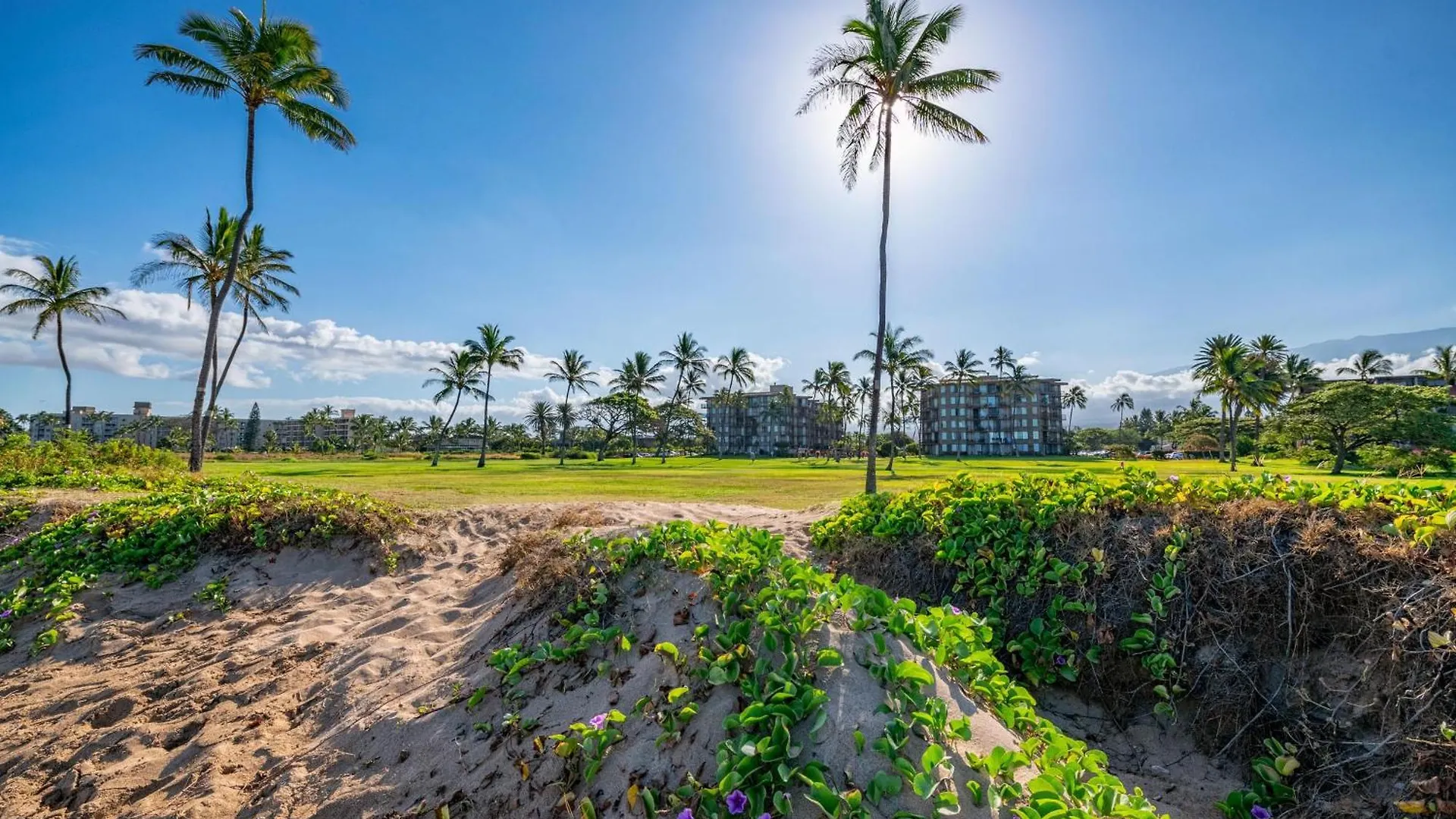 Vila Kauhale Makai 312 Kihei 0*,  USA